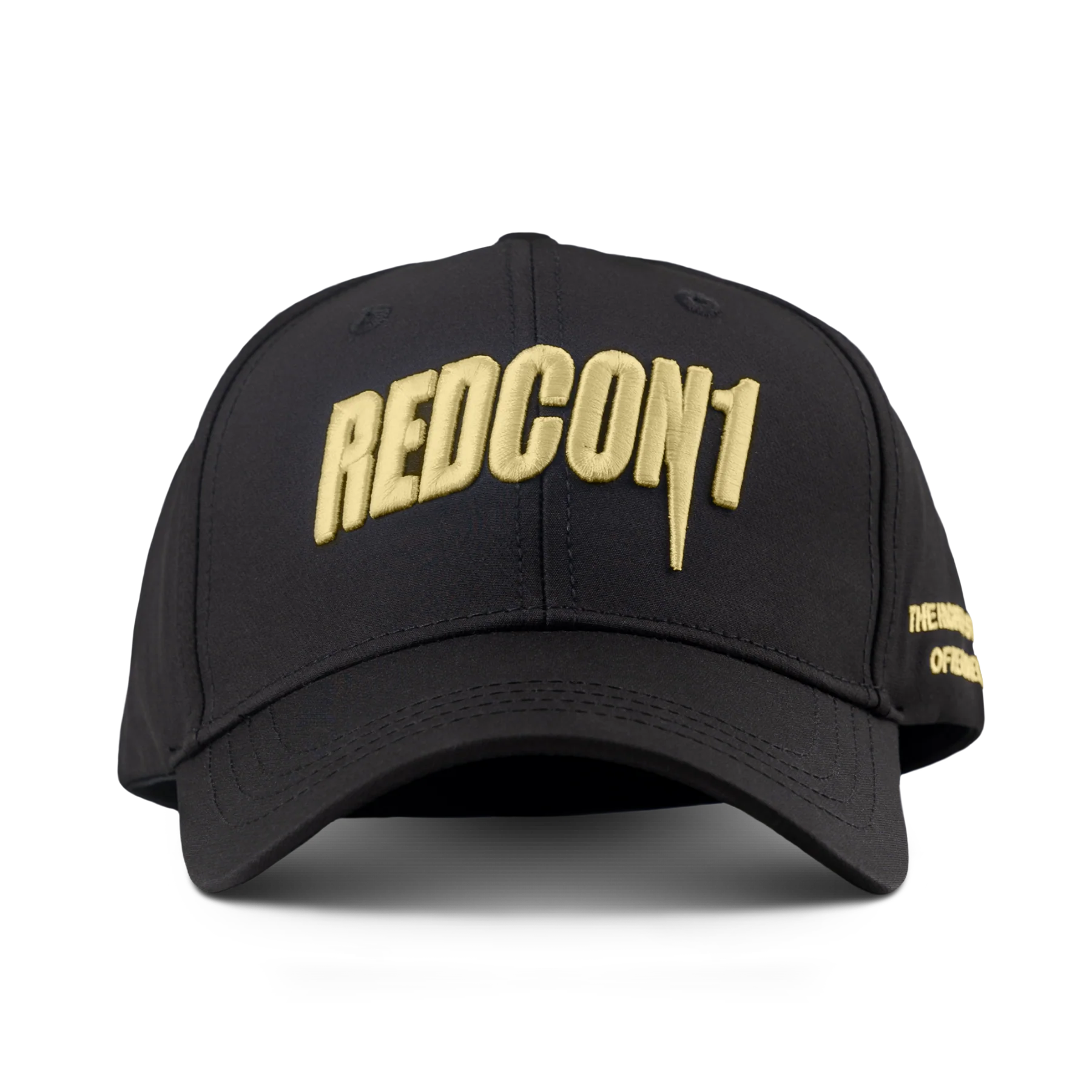 3D Puff Embroidered Snapback - Image 2